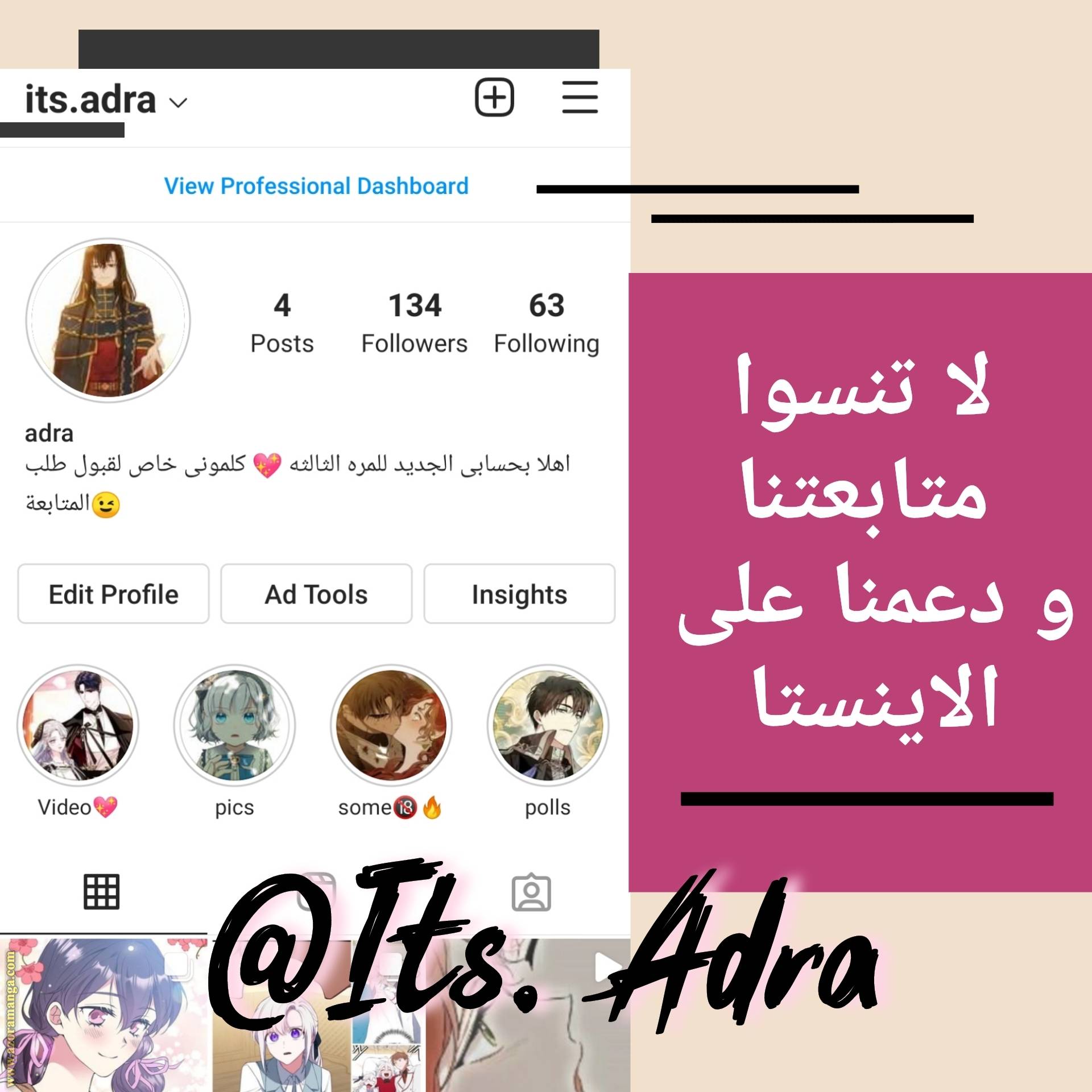 الصفحة 13