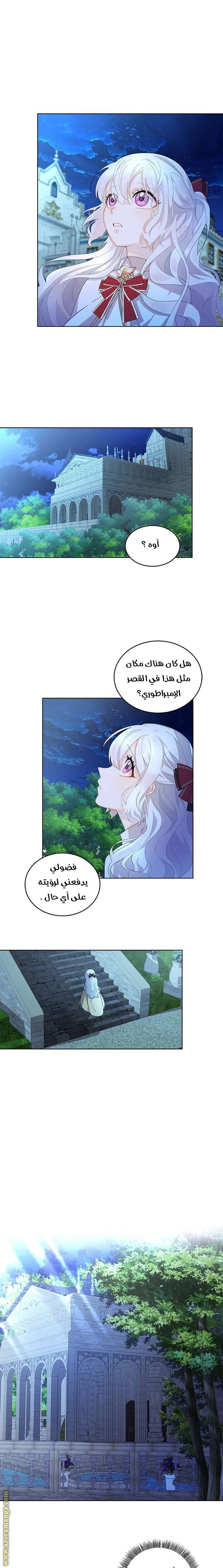 الصفحة 13