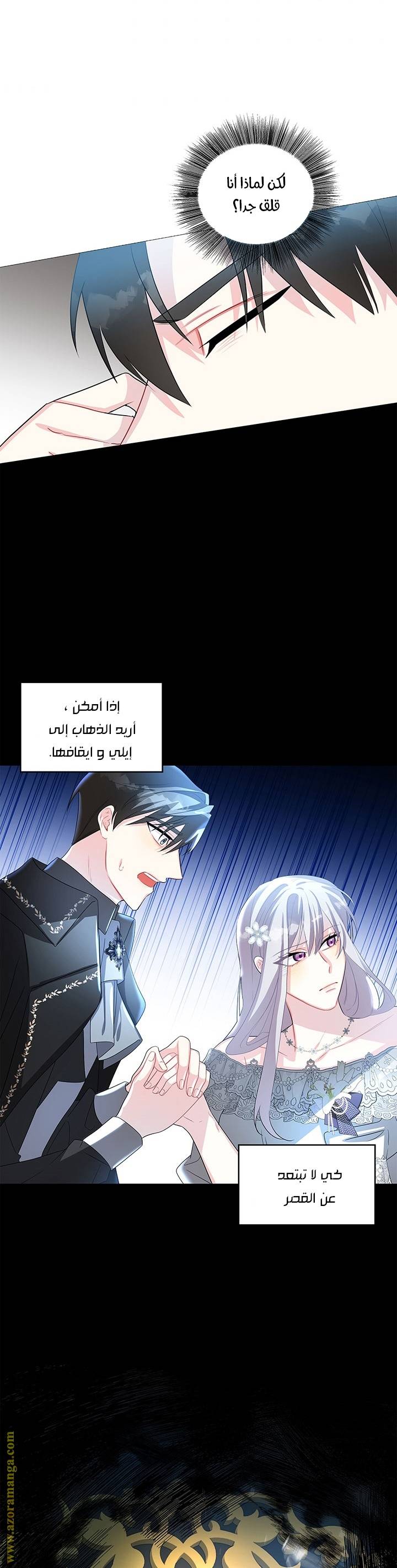الصفحة 28