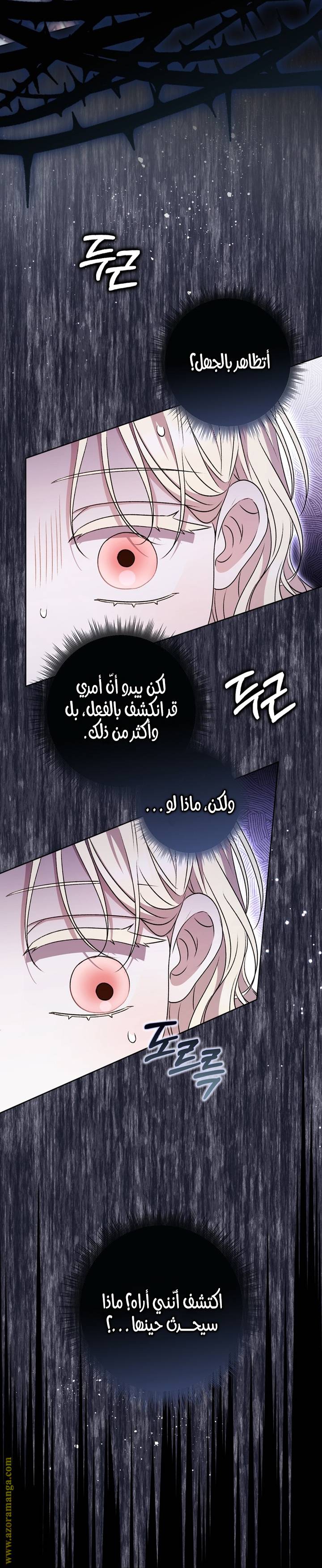 الصفحة 23