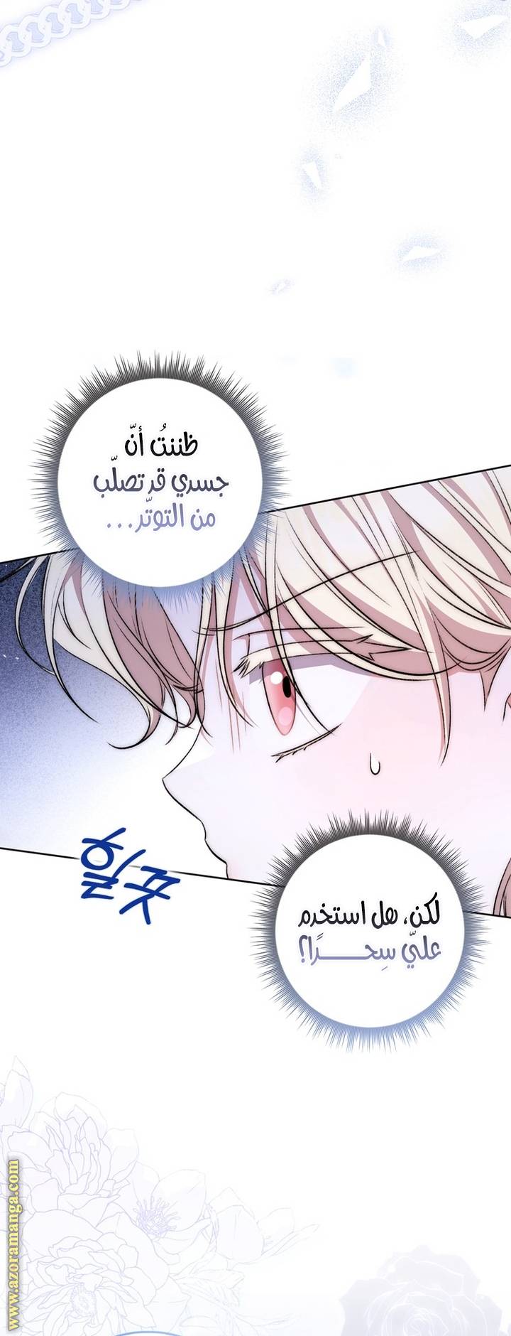الصفحة 27