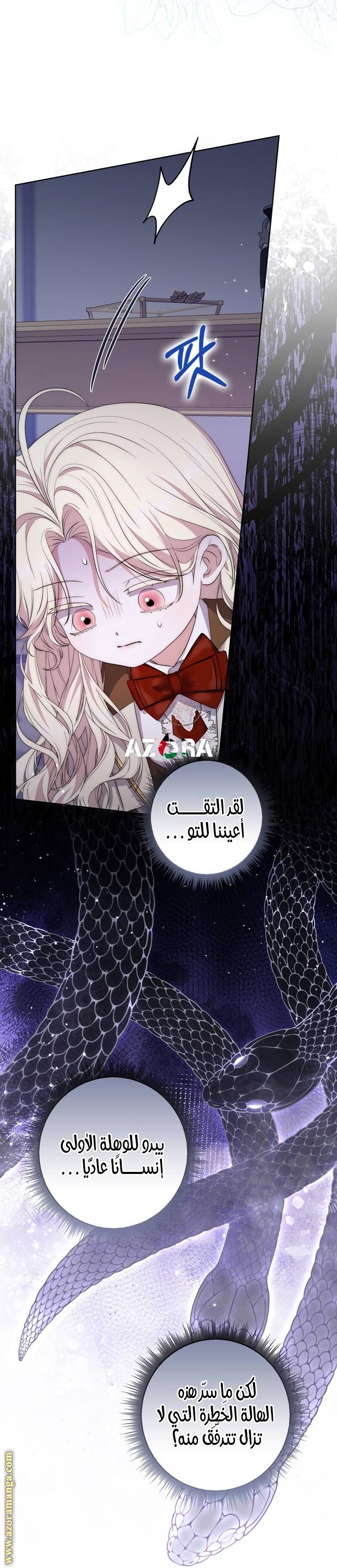 الصفحة 29