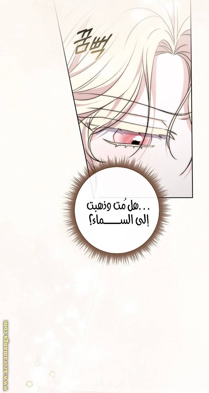 الصفحة 62