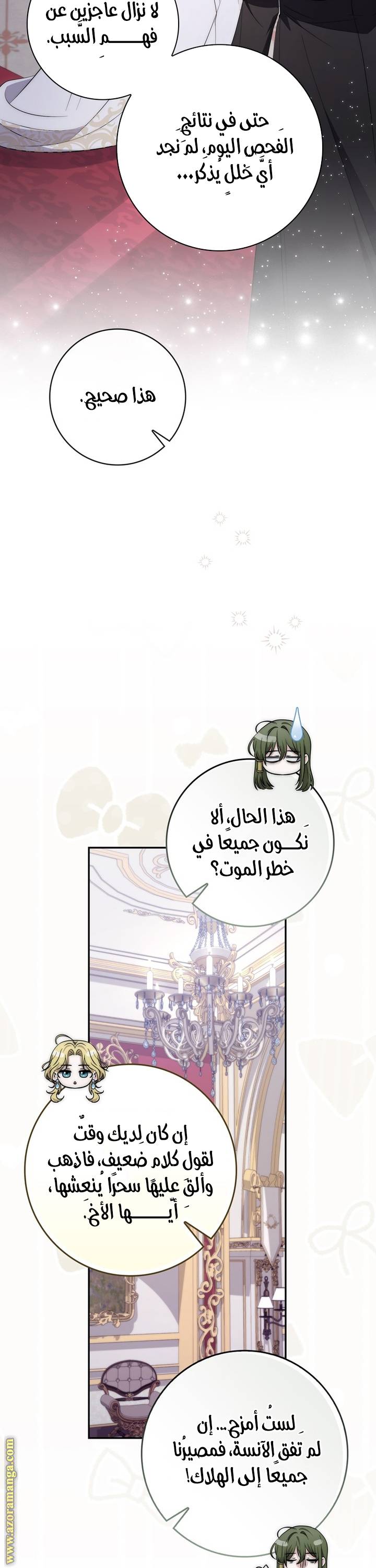الصفحة 25