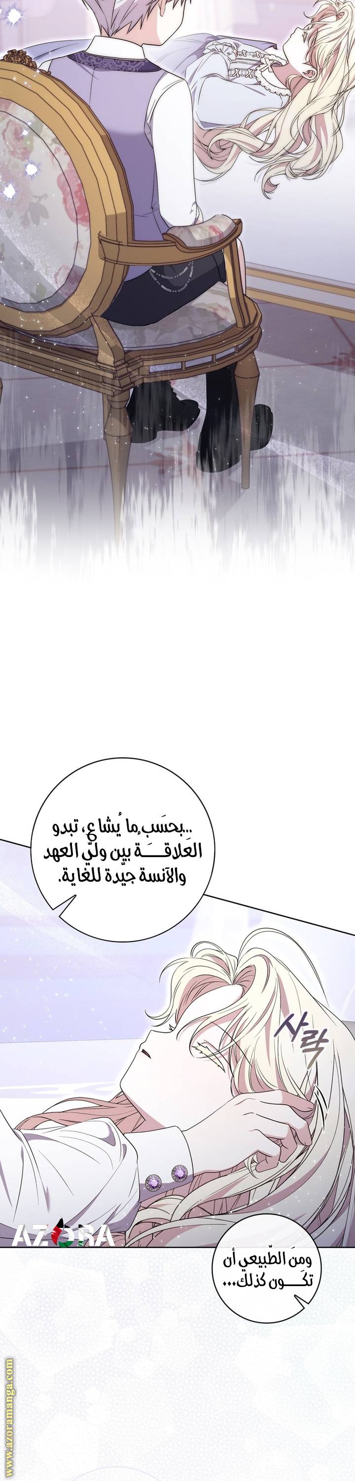 الصفحة 27