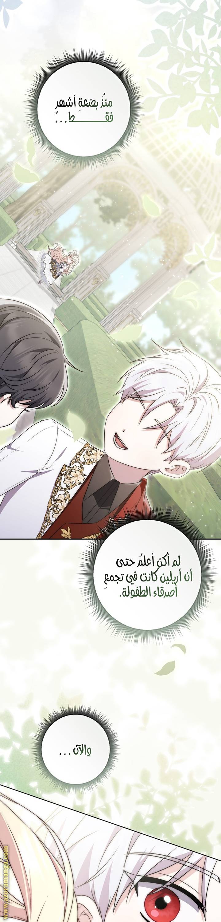 الصفحة 39