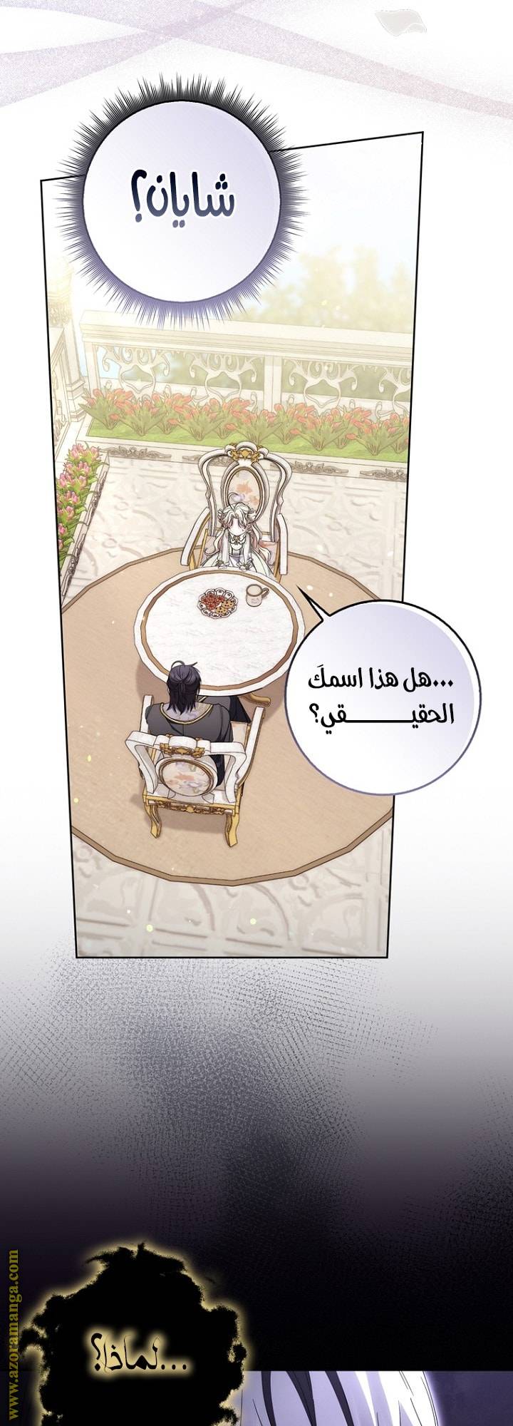 الصفحة 41
