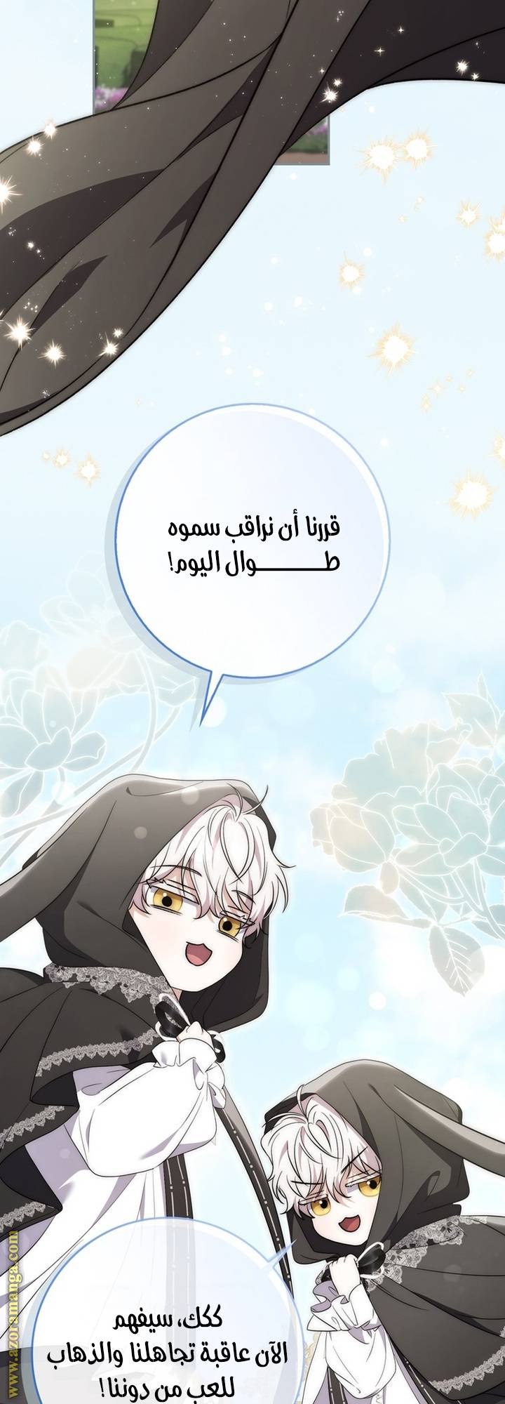 الصفحة 13