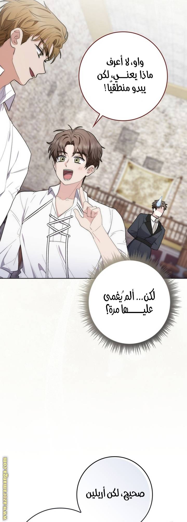 الصفحة 28