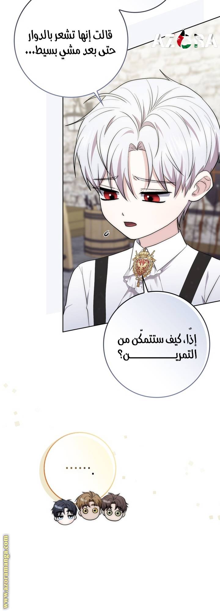 الصفحة 29