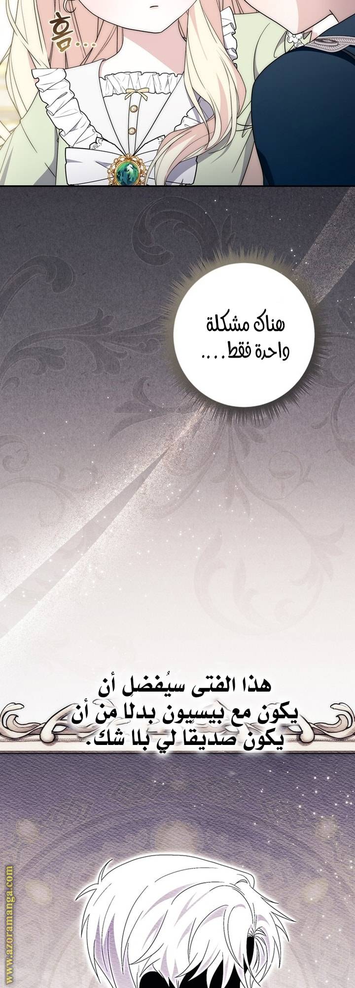 الصفحة 29