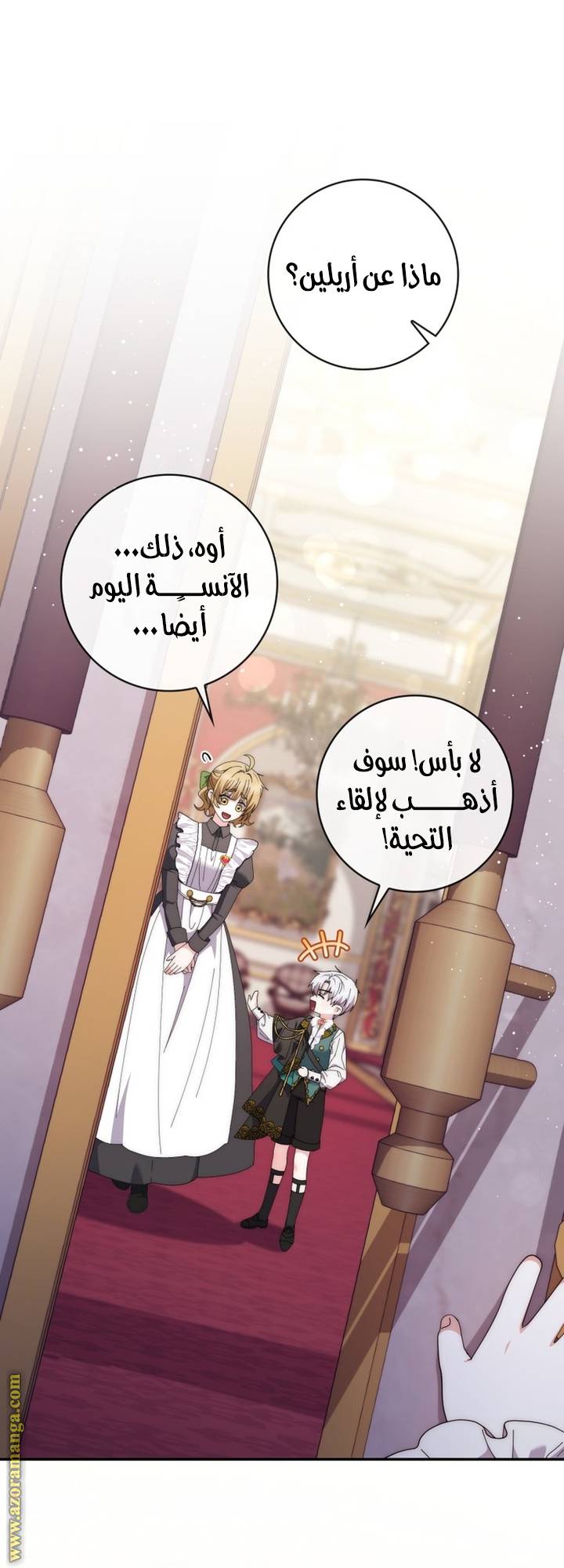 الصفحة 17