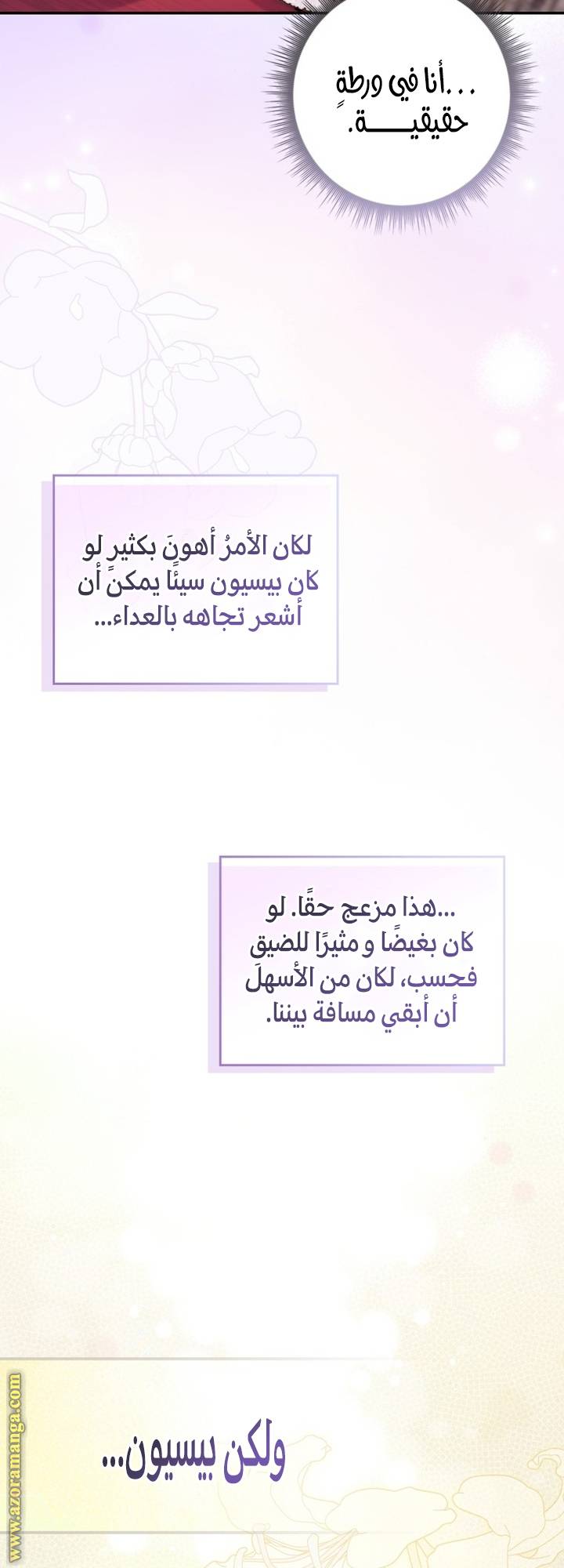 الصفحة 24