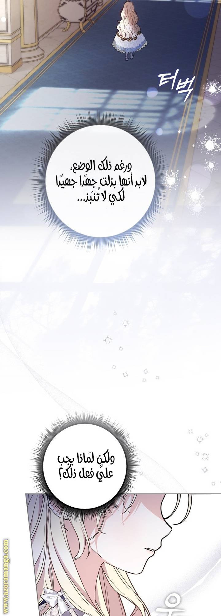 الصفحة 17