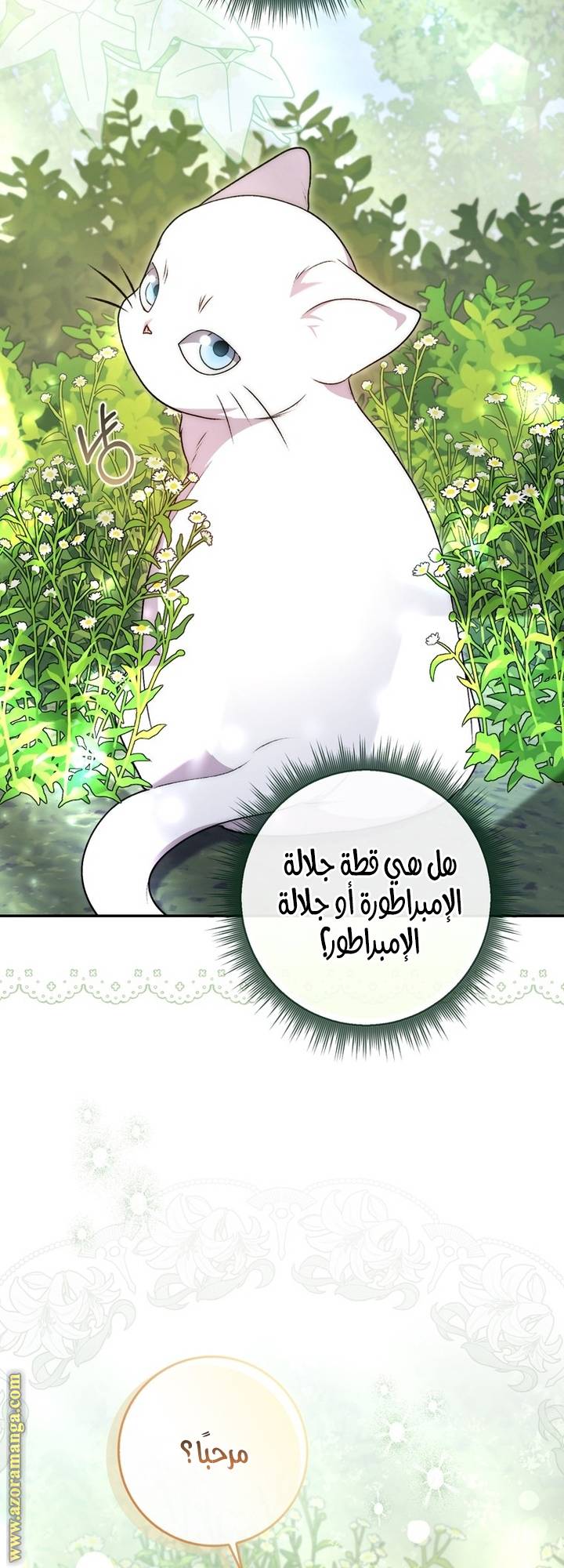 الصفحة 24