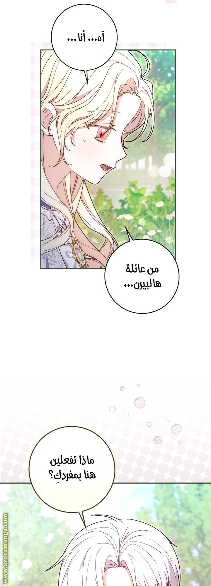 الصفحة 31