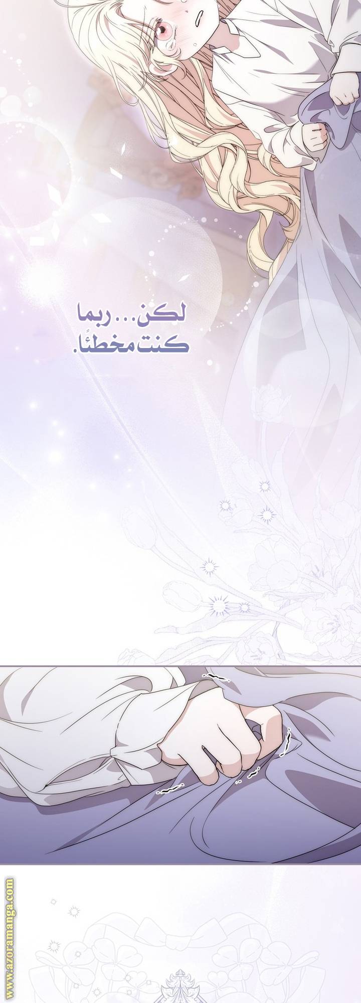 الصفحة 17