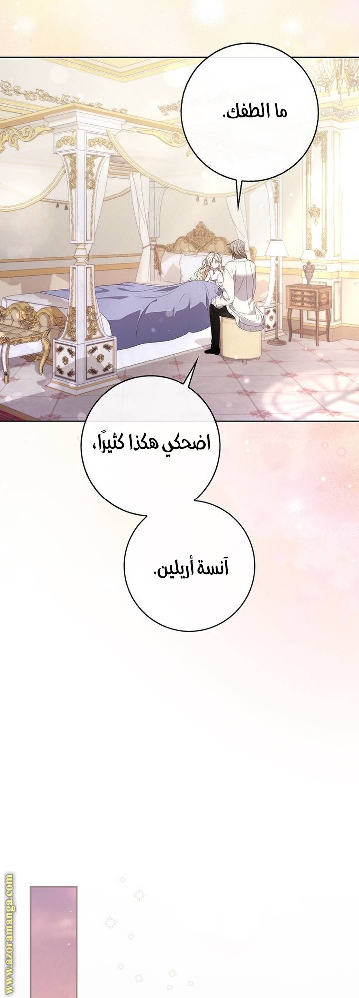 الصفحة 43
