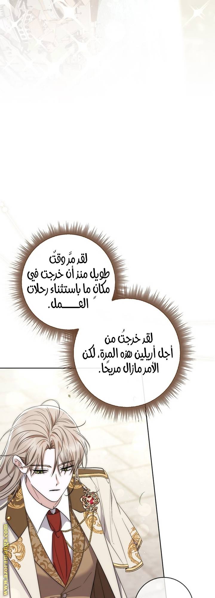 الصفحة 17
