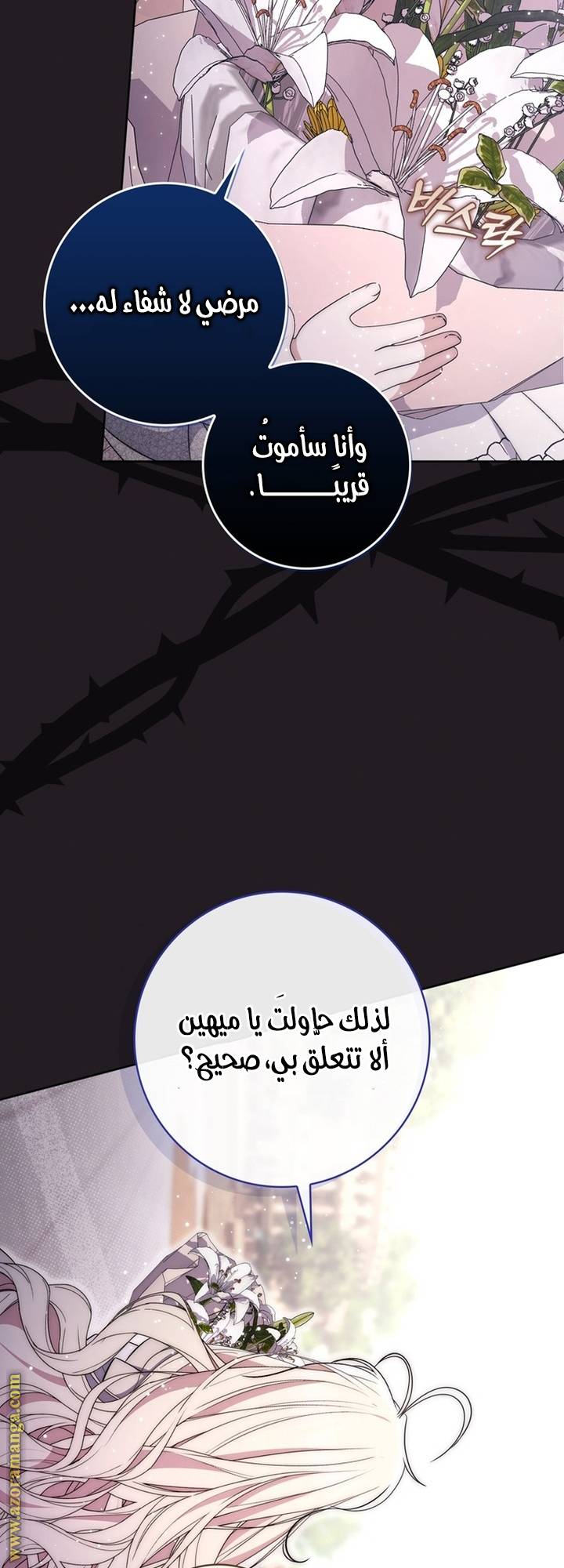 الصفحة 47