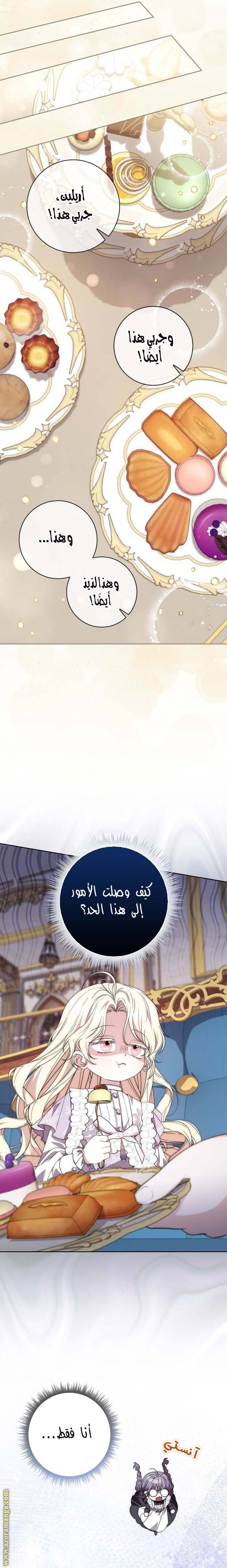 الصفحة 17