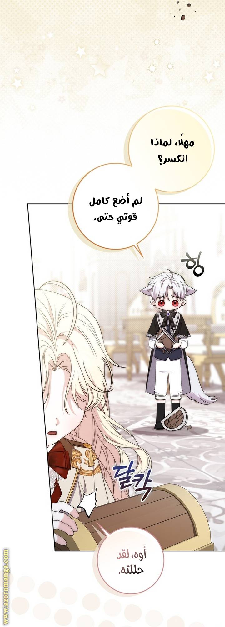 الصفحة 25