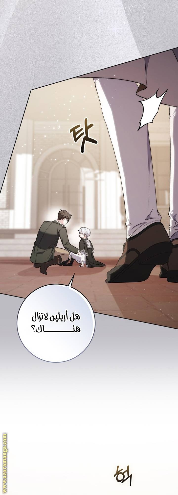 الصفحة 48
