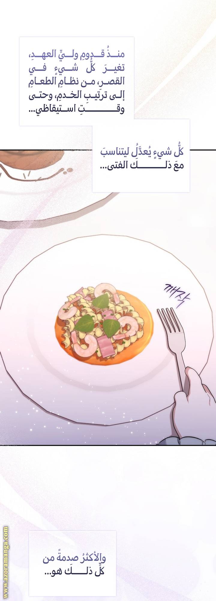 الصفحة 13