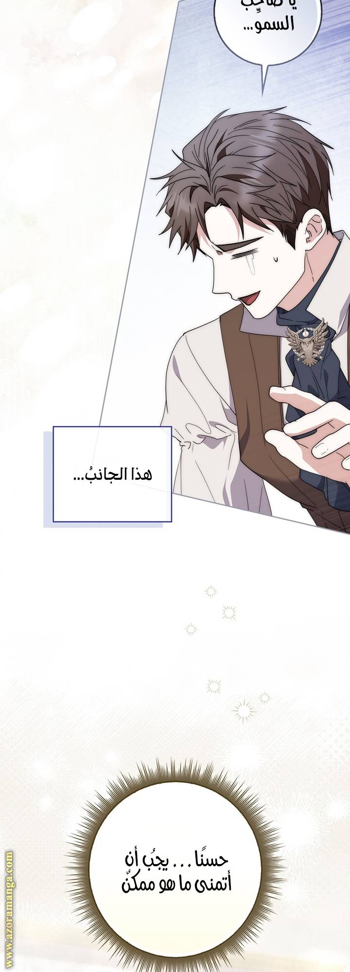 الصفحة 19