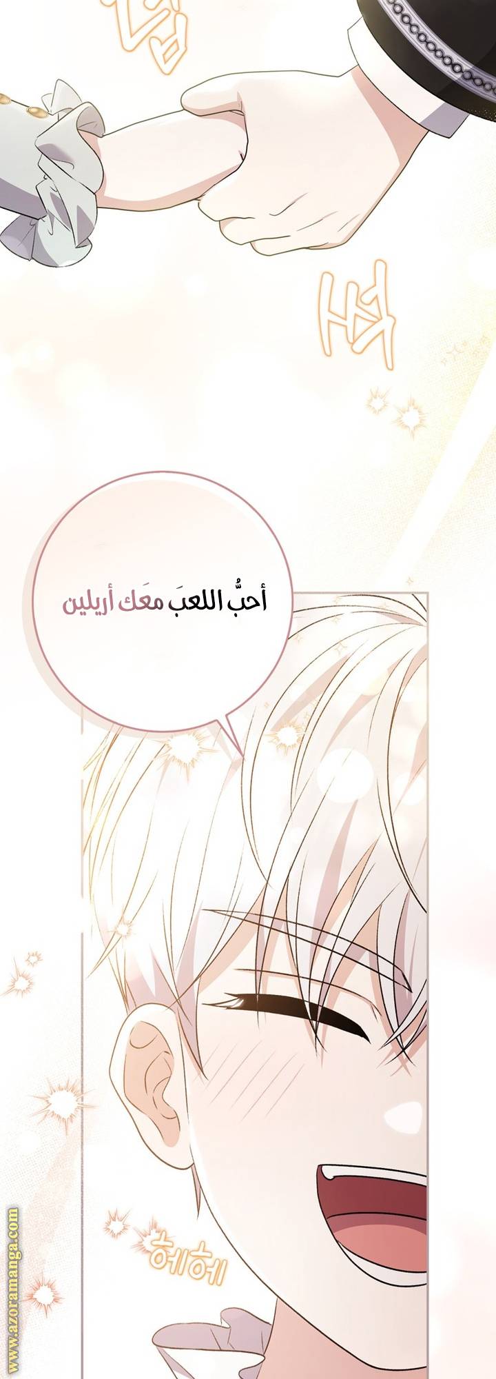 الصفحة 29