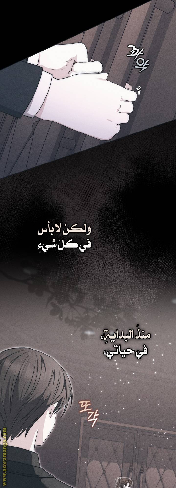 الصفحة 40