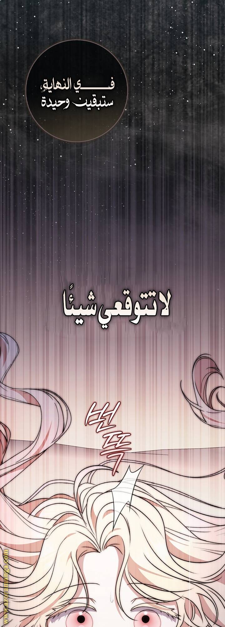 الصفحة 43