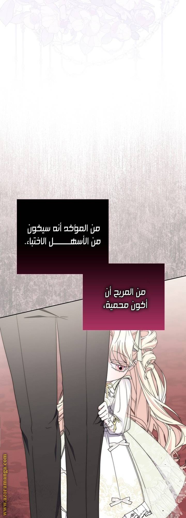 الصفحة 17