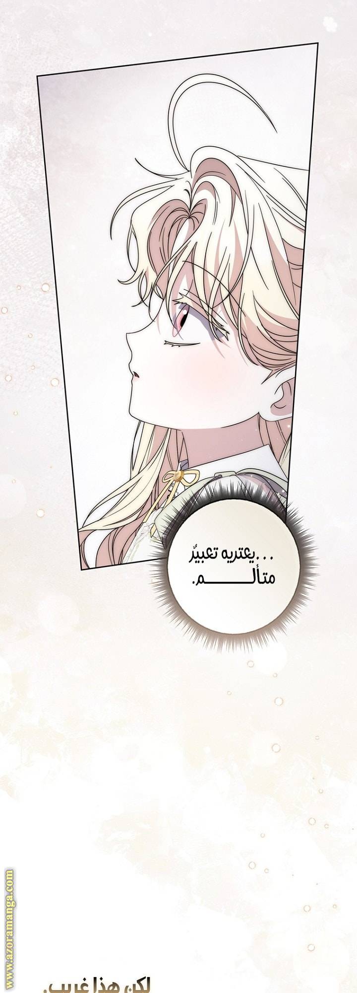 الصفحة 27