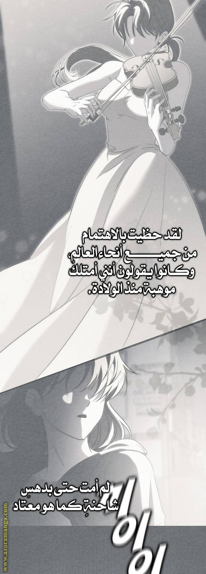 الصفحة 22