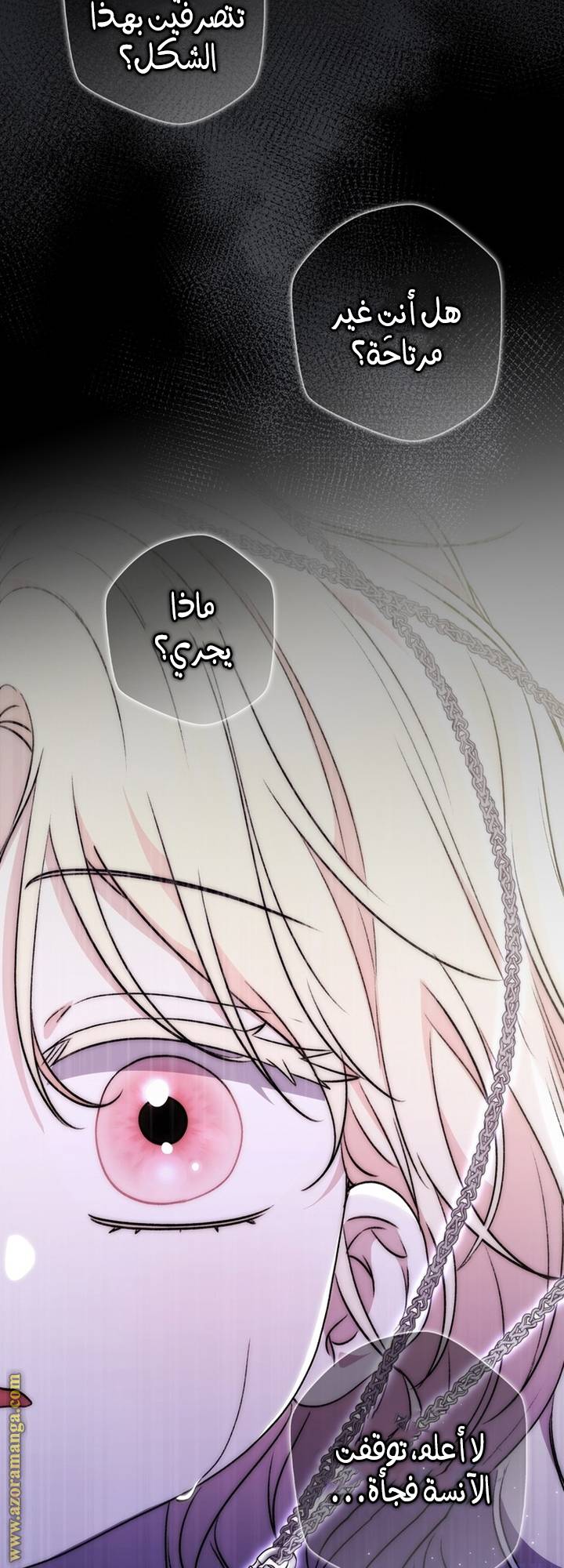 الصفحة 25