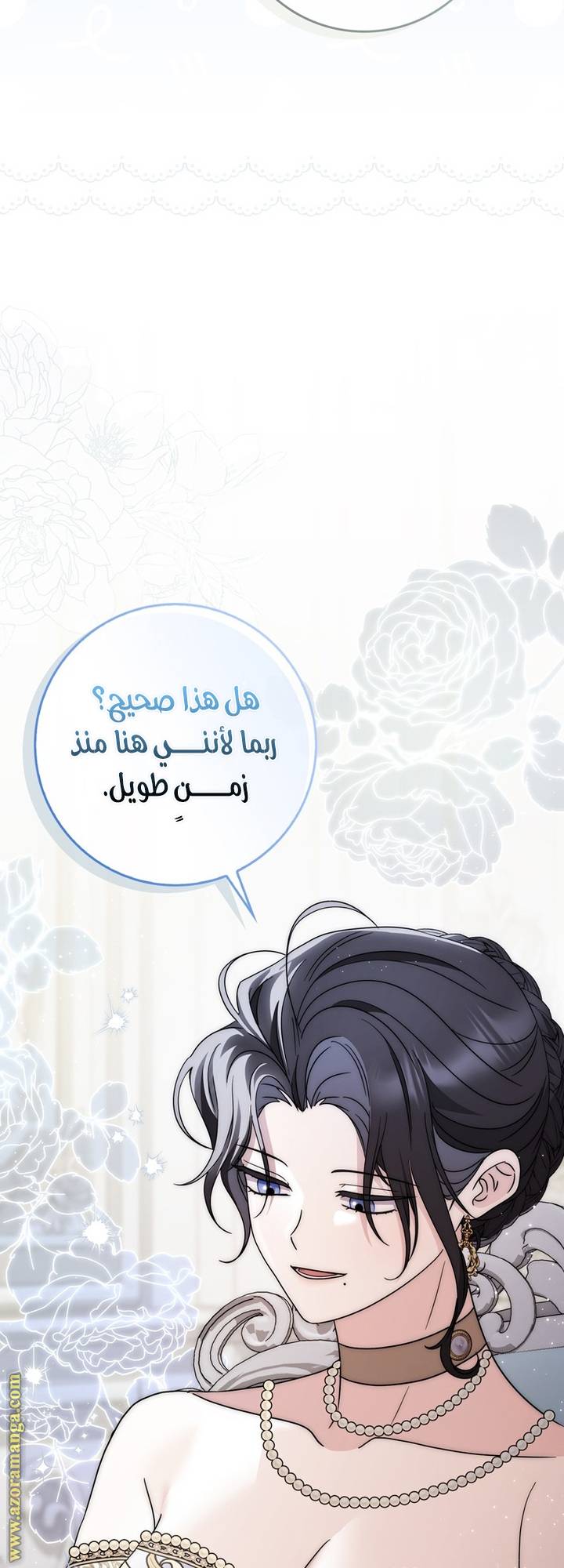 الصفحة 29