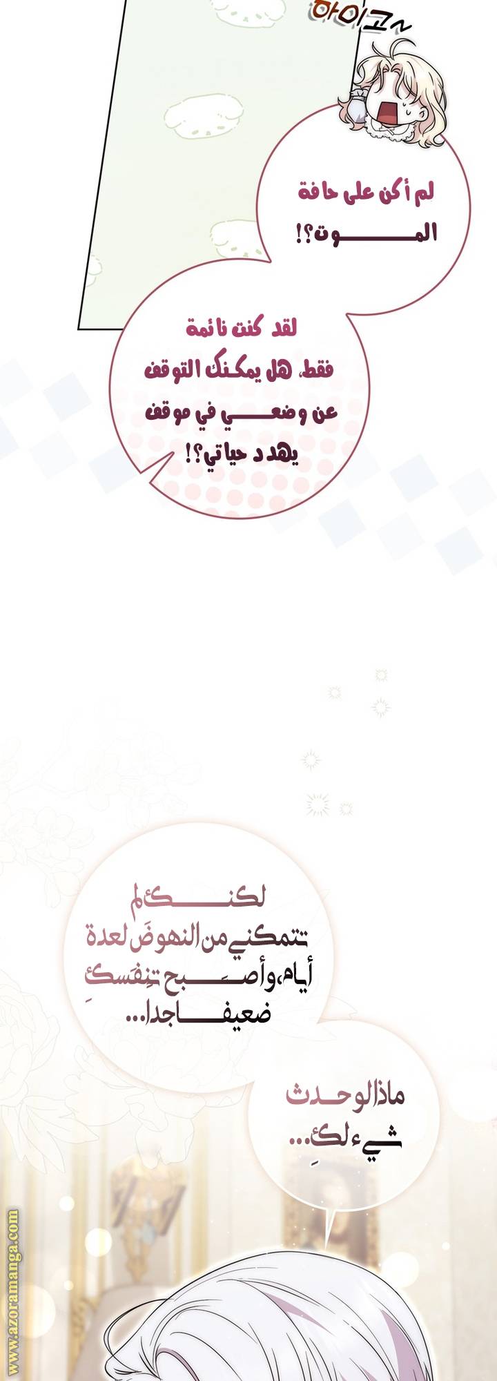 الصفحة 17