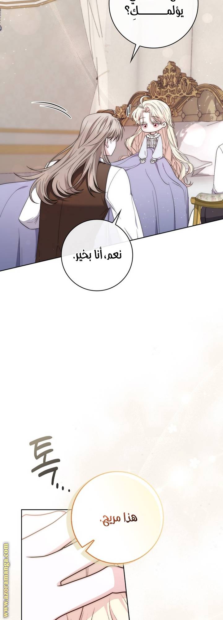 الصفحة 27