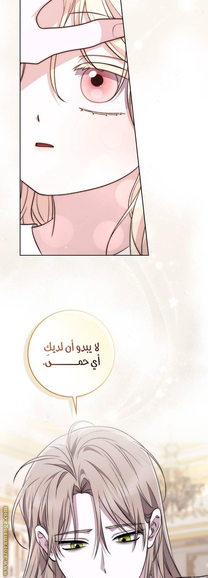 الصفحة 28