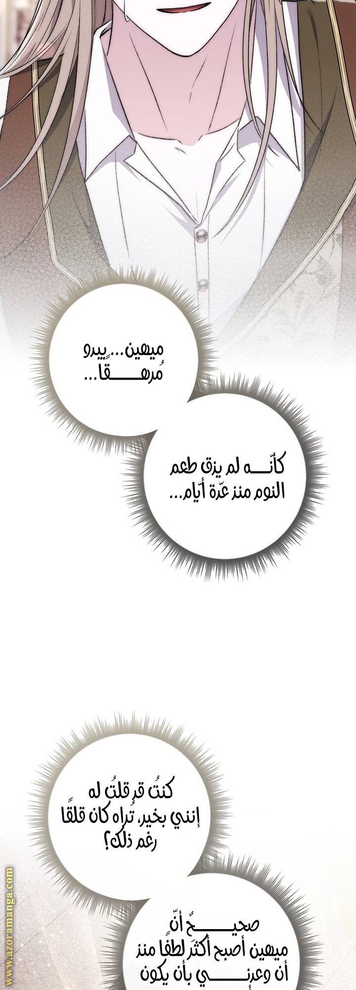 الصفحة 29