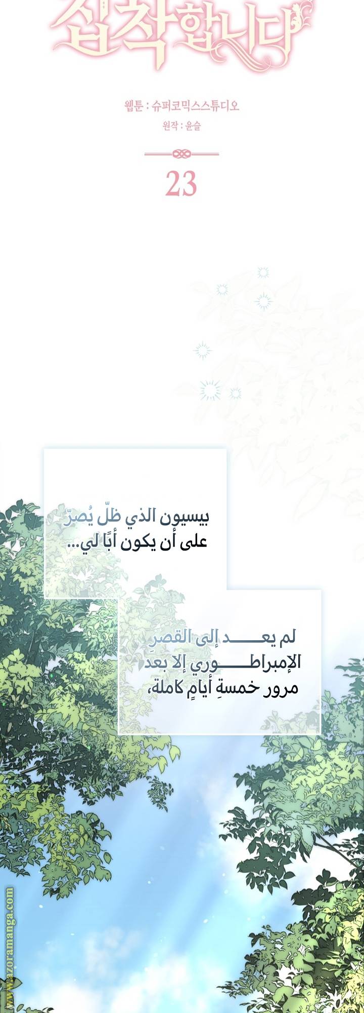 الصفحة 41