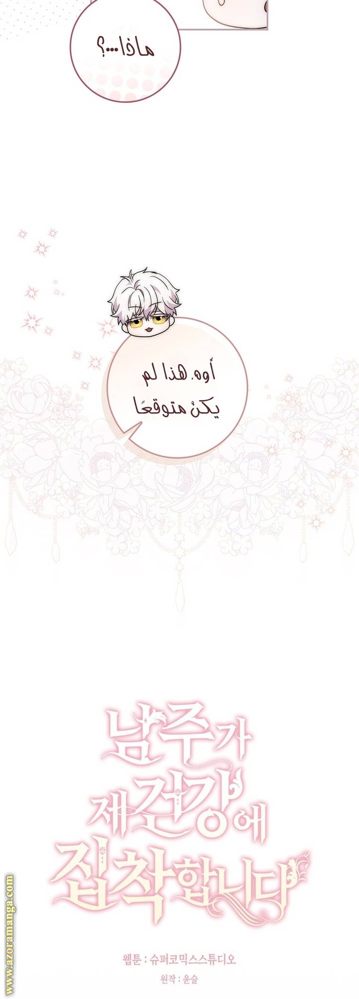 الصفحة 19