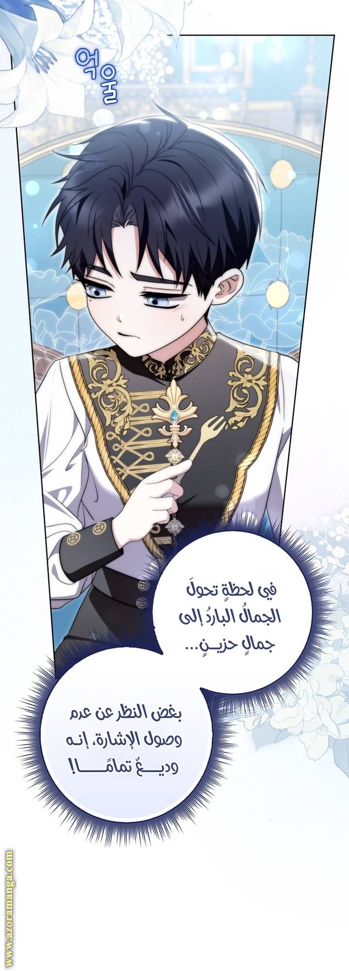 الصفحة 41
