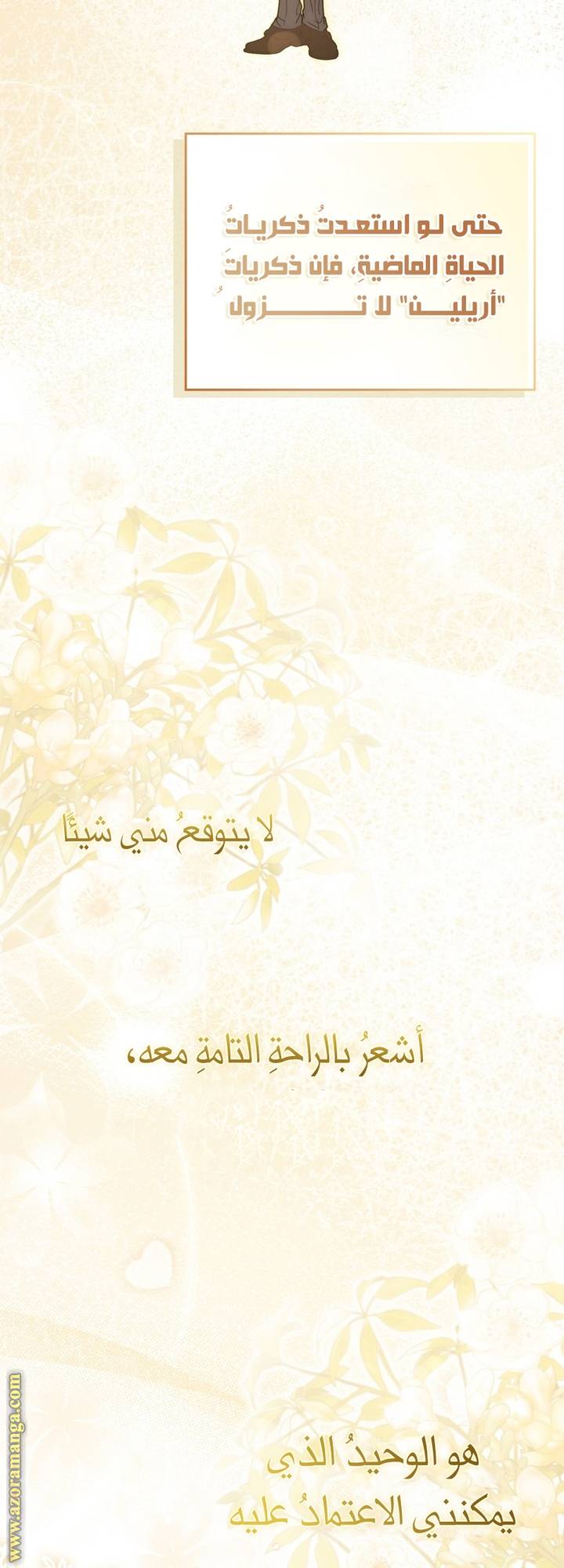 الصفحة 52