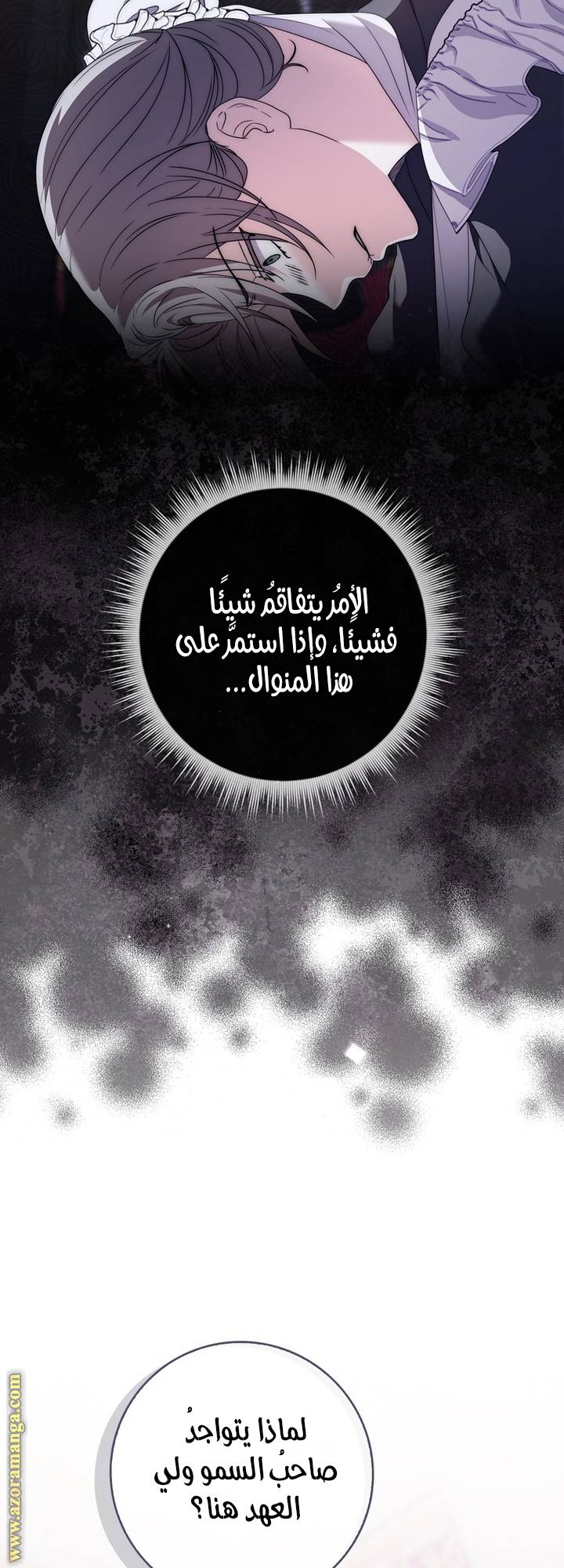 الصفحة 27