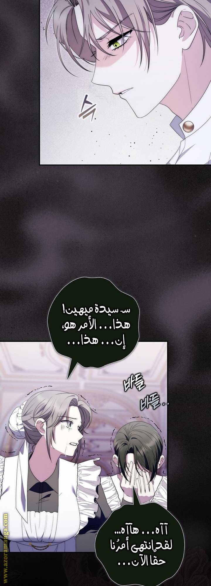 الصفحة 29