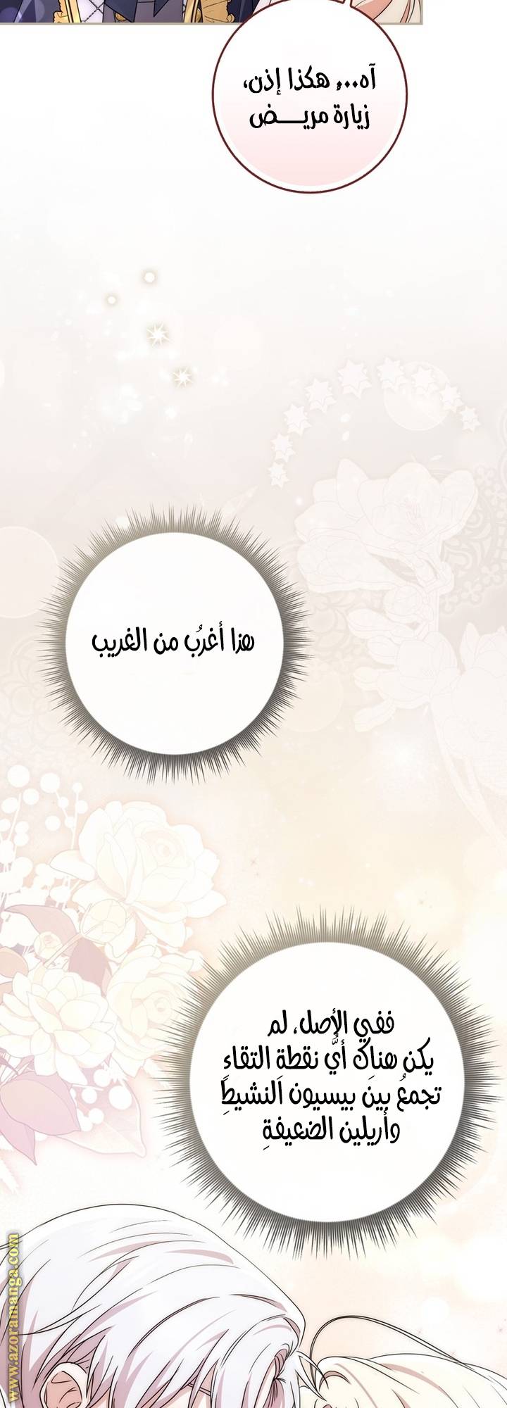 الصفحة 45
