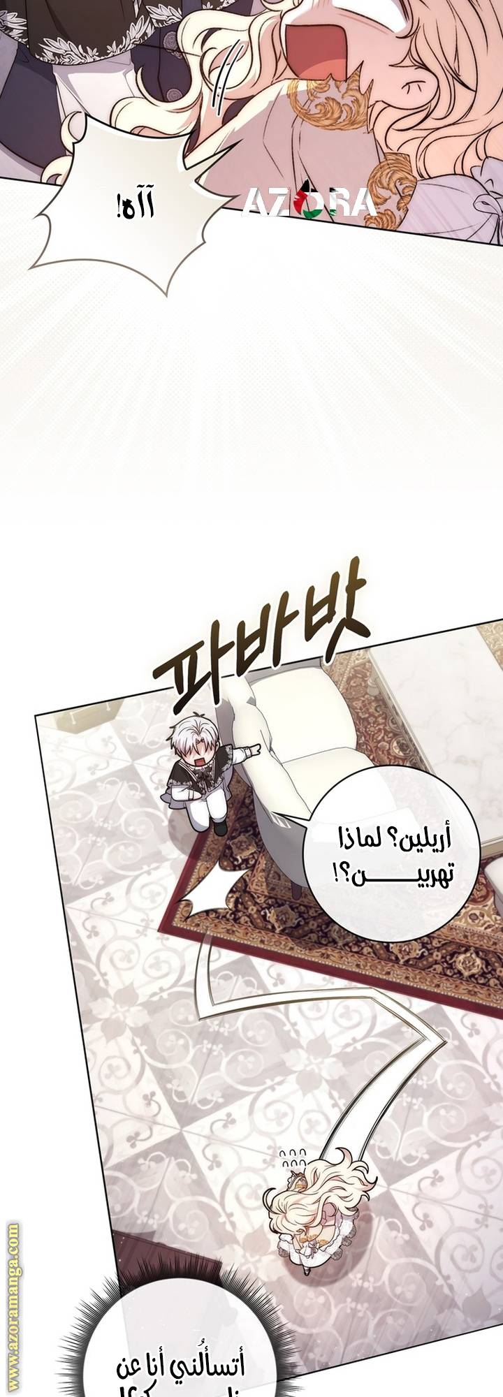 الصفحة 17