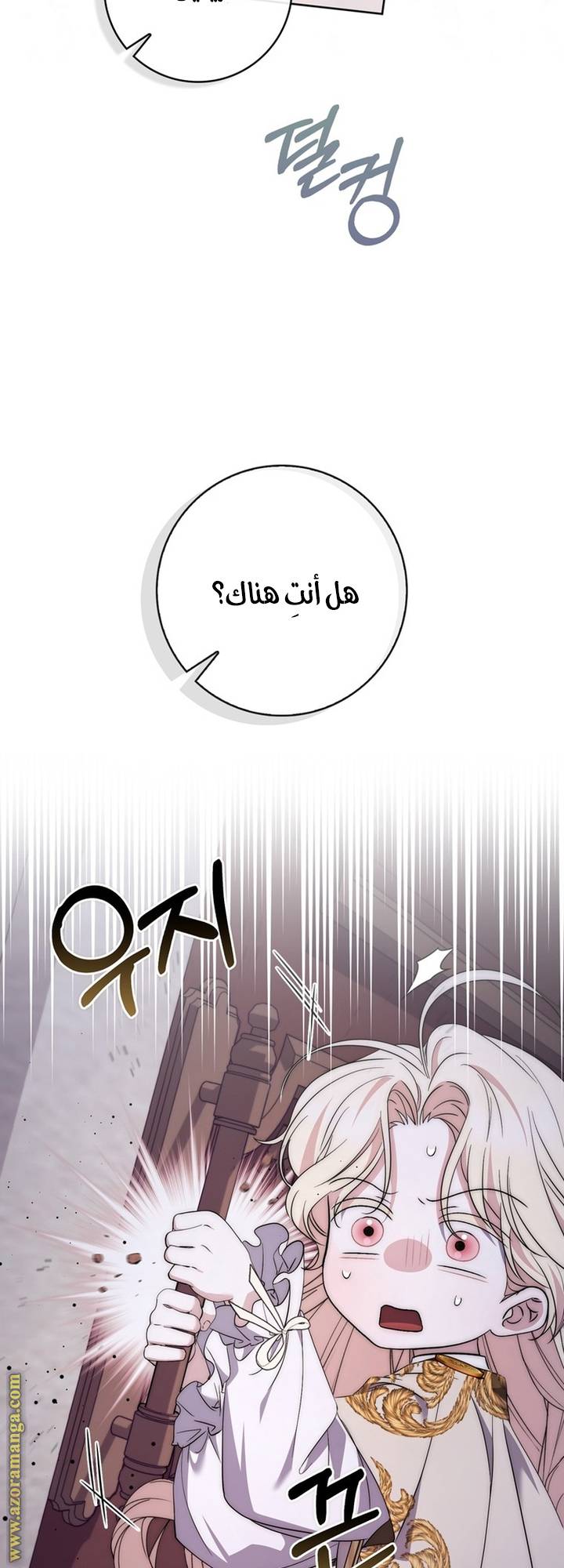 الصفحة 25